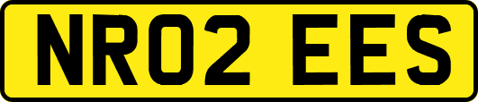 NR02EES
