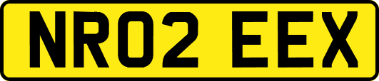 NR02EEX