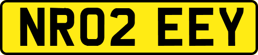 NR02EEY
