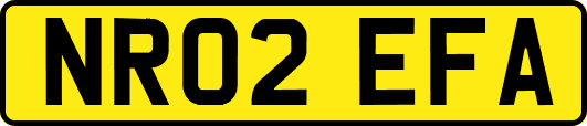 NR02EFA