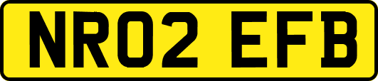 NR02EFB