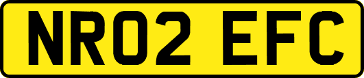 NR02EFC