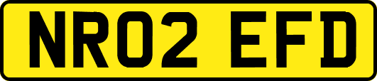 NR02EFD