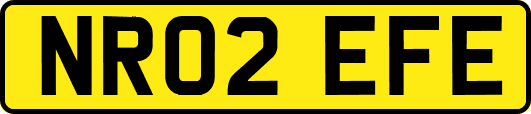 NR02EFE