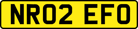 NR02EFO