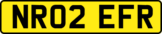 NR02EFR