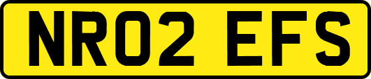 NR02EFS