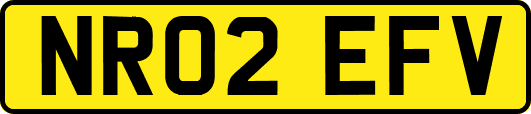 NR02EFV
