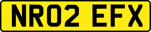 NR02EFX