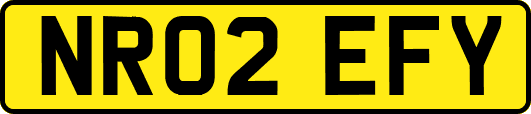 NR02EFY