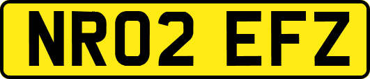 NR02EFZ