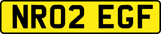 NR02EGF