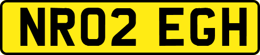 NR02EGH