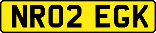 NR02EGK