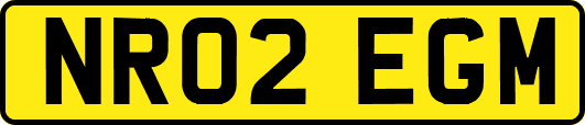 NR02EGM