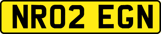 NR02EGN