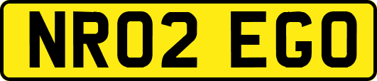 NR02EGO