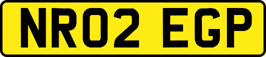 NR02EGP