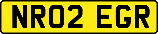 NR02EGR