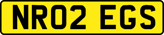 NR02EGS
