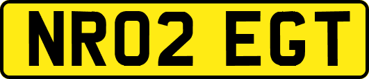 NR02EGT