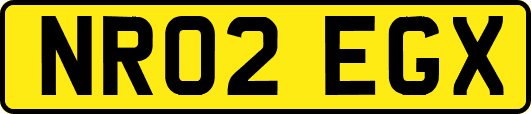 NR02EGX