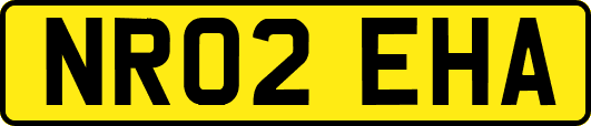 NR02EHA