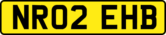 NR02EHB