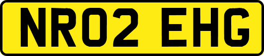 NR02EHG