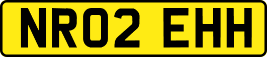 NR02EHH
