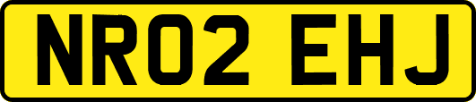 NR02EHJ