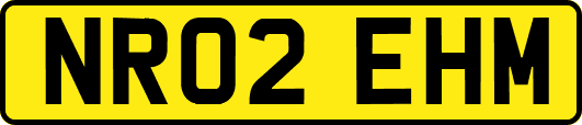 NR02EHM