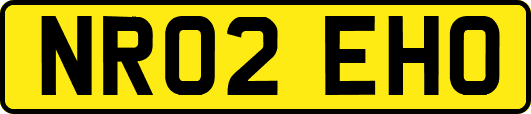 NR02EHO