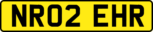 NR02EHR