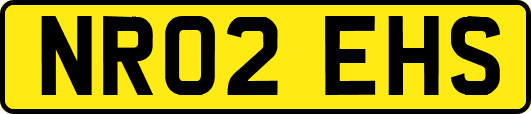 NR02EHS