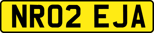 NR02EJA
