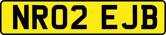 NR02EJB