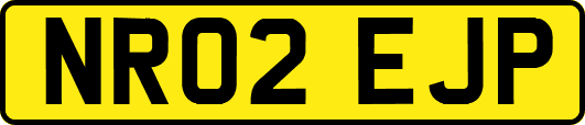NR02EJP