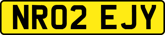 NR02EJY