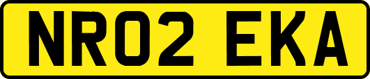 NR02EKA