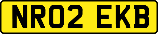 NR02EKB