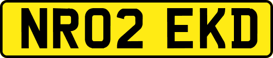 NR02EKD