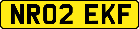 NR02EKF