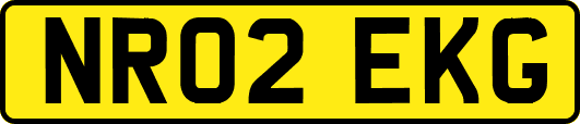 NR02EKG