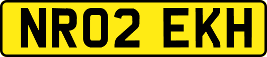 NR02EKH