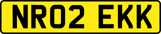 NR02EKK