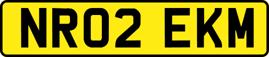 NR02EKM