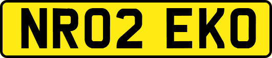 NR02EKO