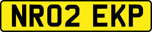 NR02EKP