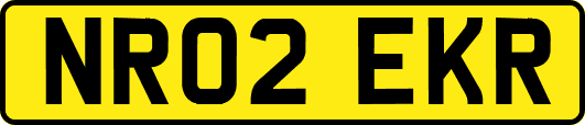 NR02EKR